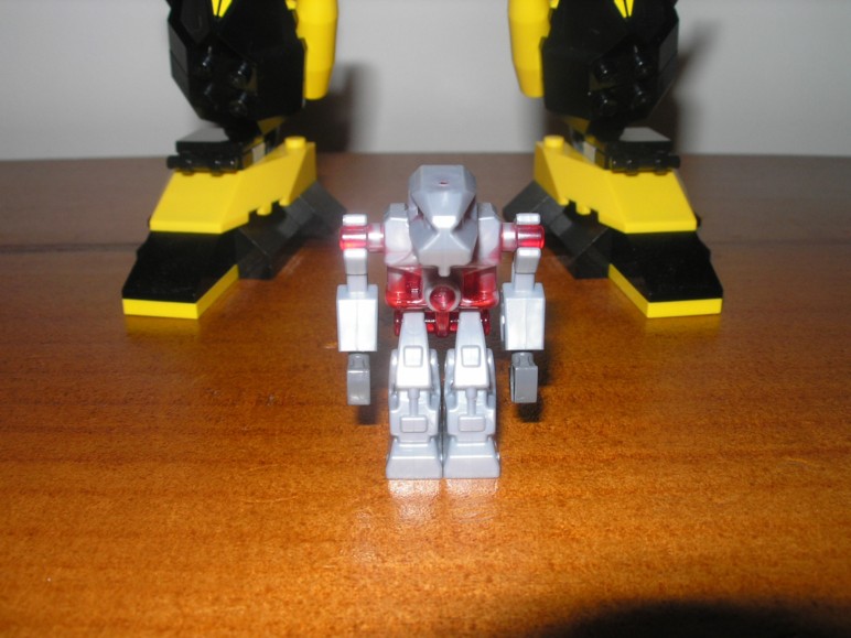 iron_condor_01.jpg