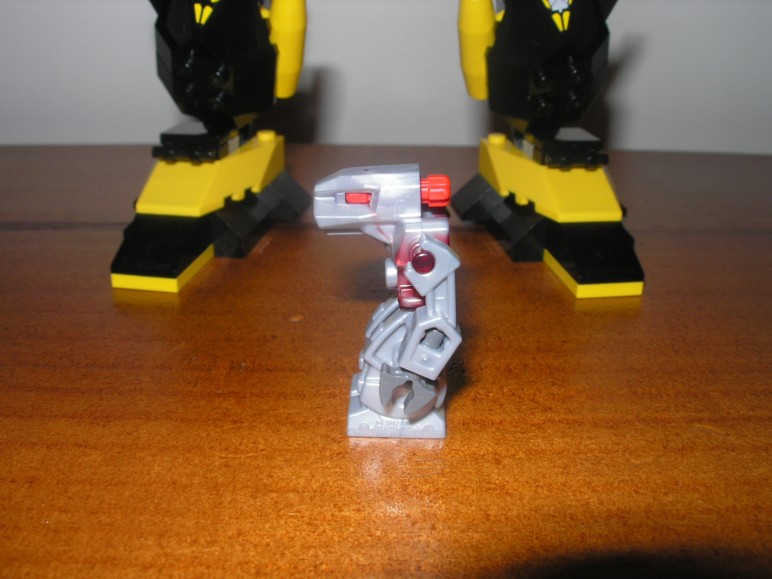 iron_condor_02.jpg