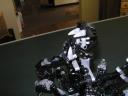 hydruss_05.jpg