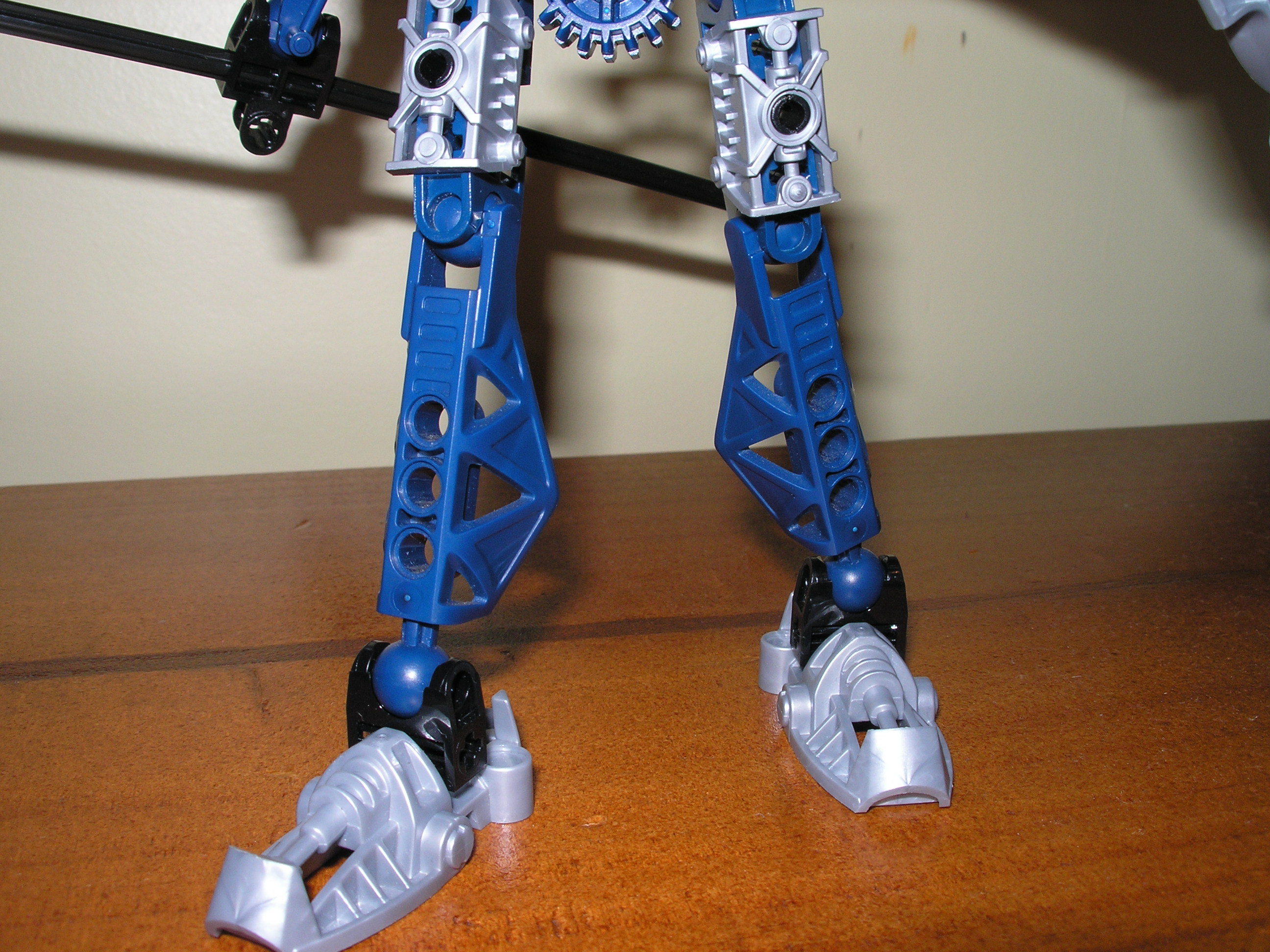 toa_gaaki_03.jpg