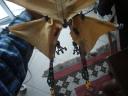 dsc04475.jpg