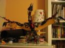 dsc04644.jpg