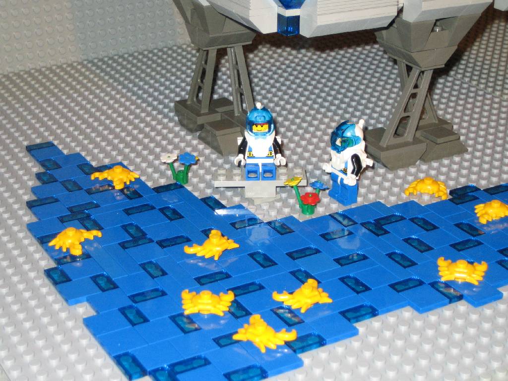 crabconnect-02.jpg