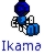 ikama.jpg