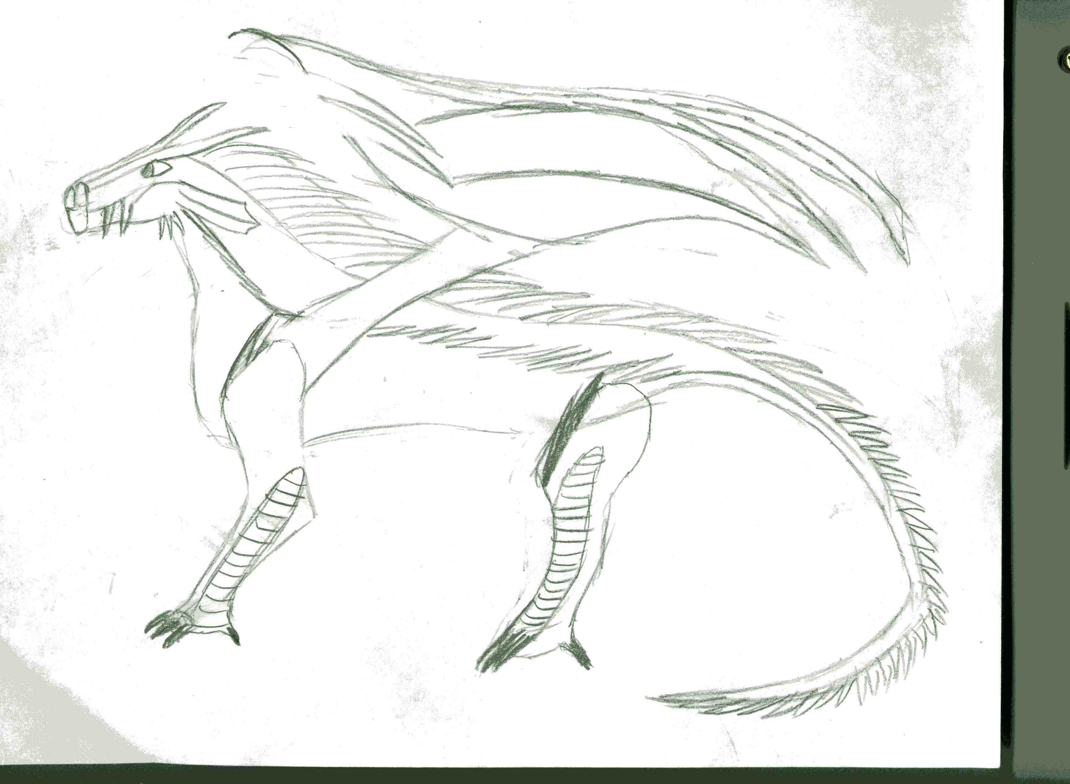 dragon001.jpg