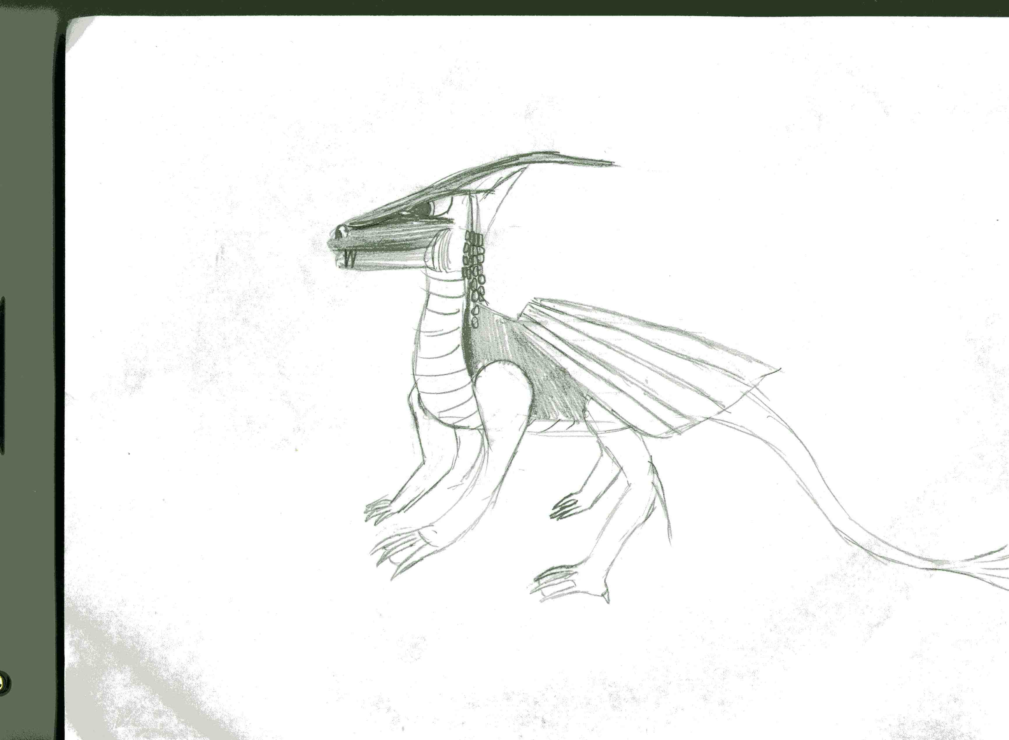 dragon002.jpg