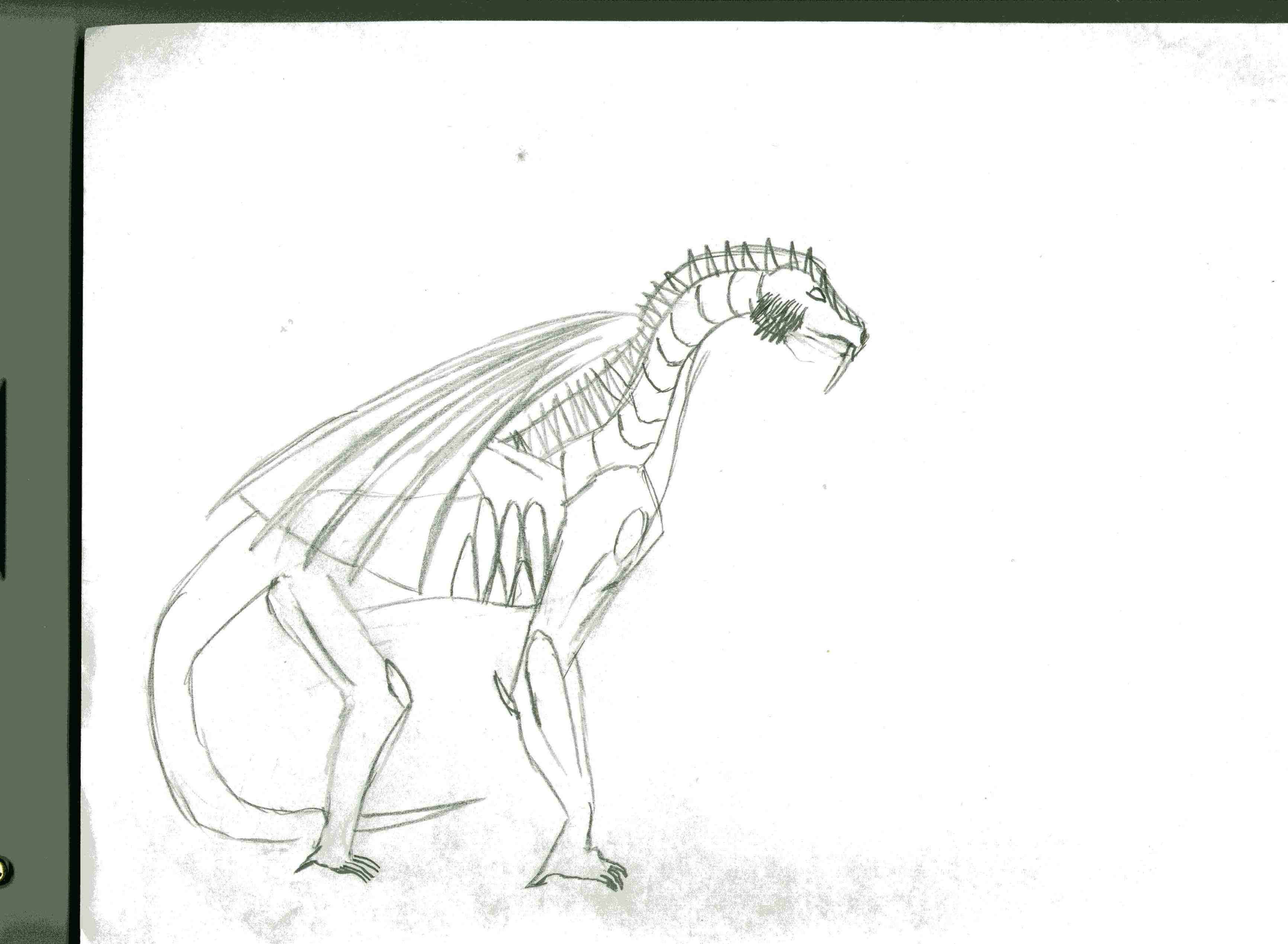 dragon003.jpg
