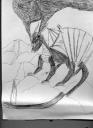 dragon004.jpg