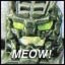 meow.jpg