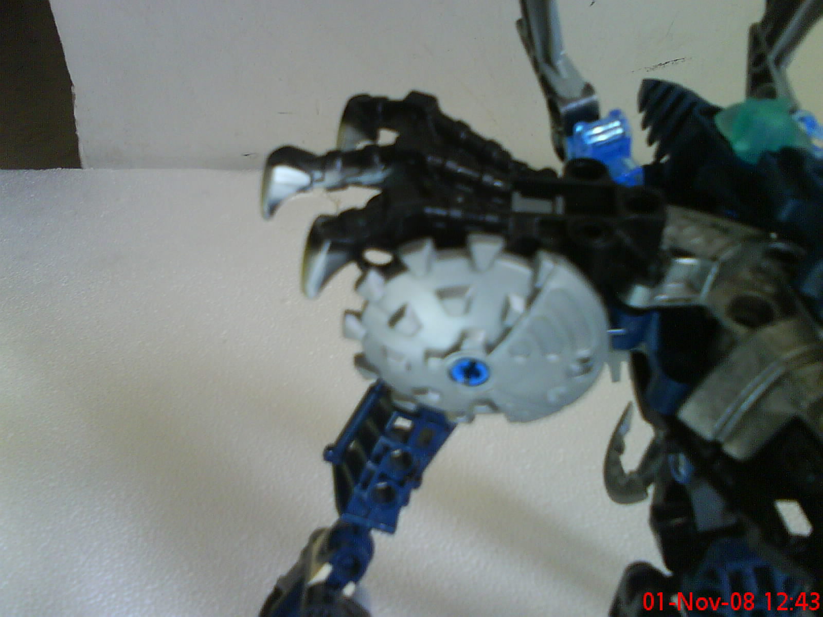 dsc01303.jpg