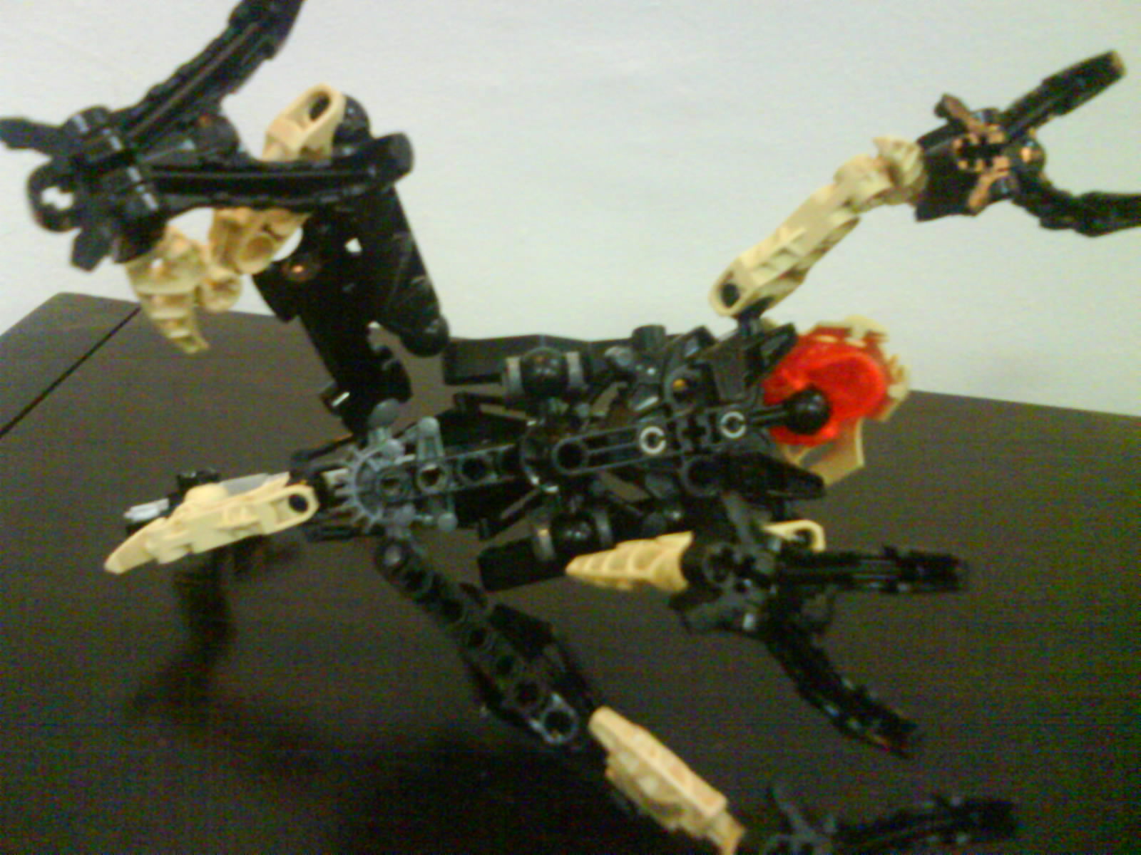 dsc02795.jpg