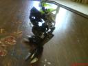 dsc00846.jpg