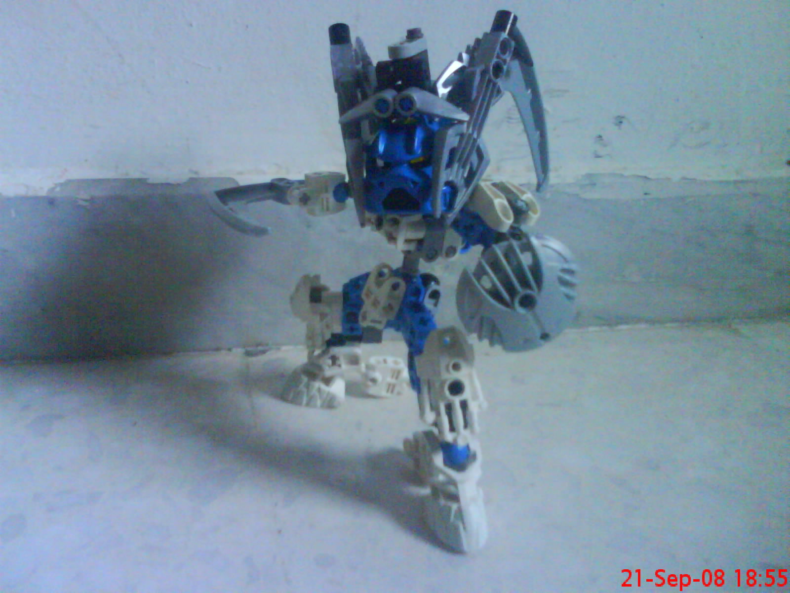 dsc01009.jpg