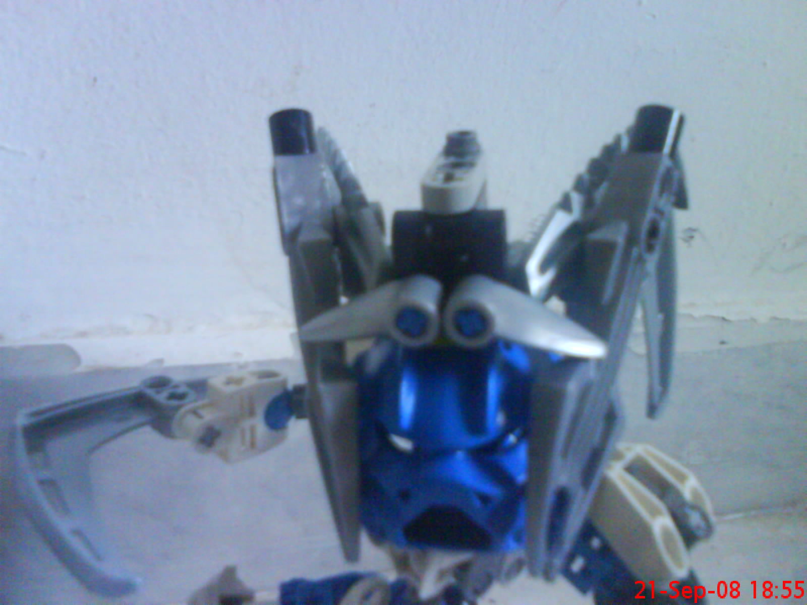 dsc01010.jpg