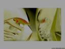 closeencounter8002324.jpg