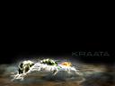 kraata_edit.png