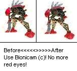 bionicam.jpg