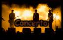 concertocloseup.png