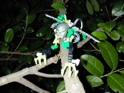 glizer2.jpg