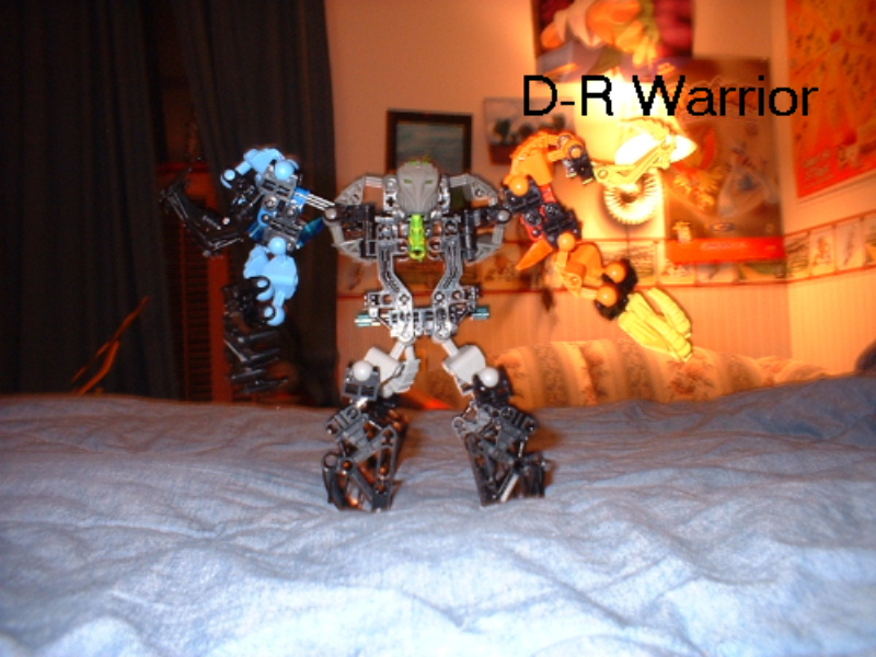 d-rwarrior.jpg