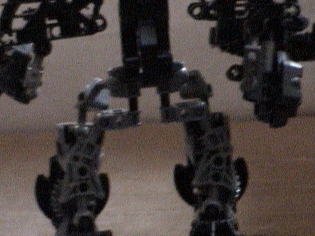 toa_orcen_earthra_leg.jpg
