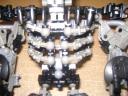 ralga_ribcage.jpg