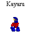 kayaruav.png