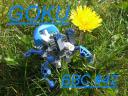 dscf8290.jpg