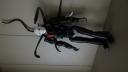 dsc02506.jpg