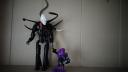 dsc02516.jpg