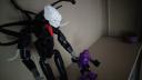 dsc02517.jpg