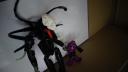 dsc02520.jpg