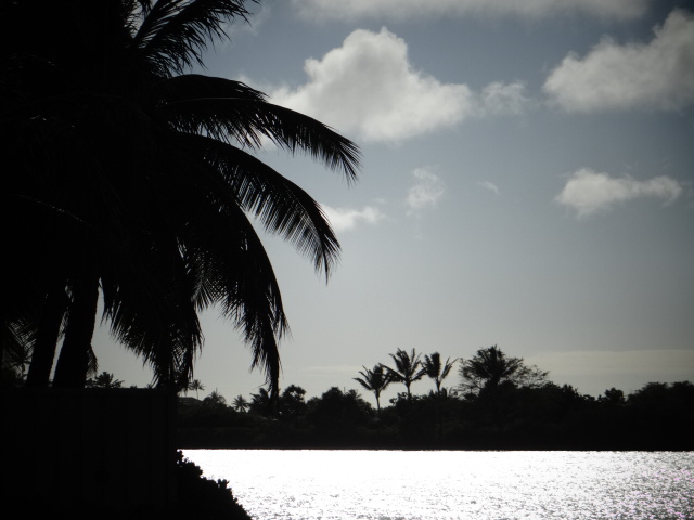 dsc01025.jpg