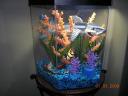 Fish-Tank