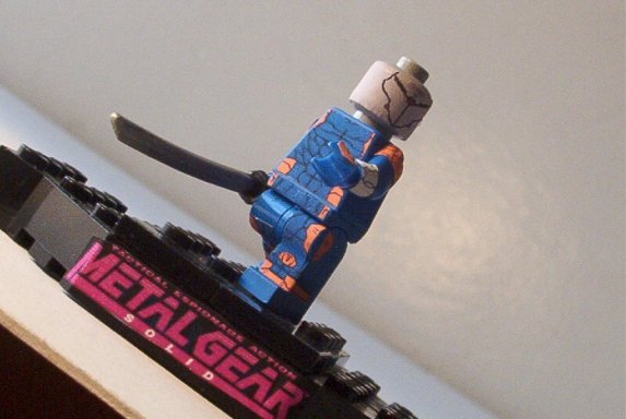 grayfox2.jpg