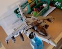 harrier4.jpg
