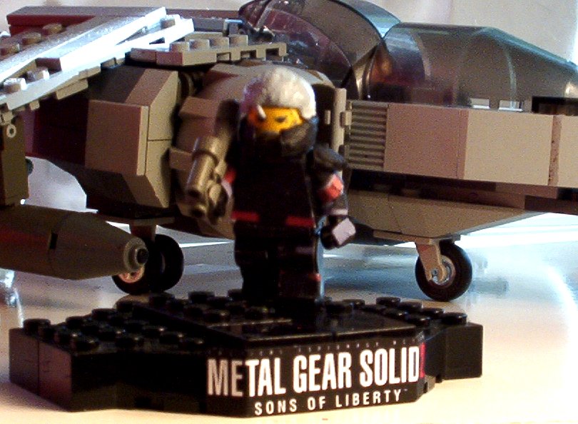 sgsfigs2.jpg