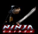 ninjagaidenpresentation.jpg