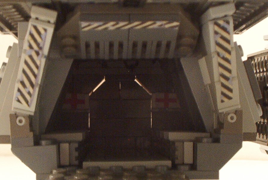 pelican8.jpg