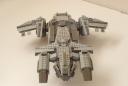 pelican4.jpg