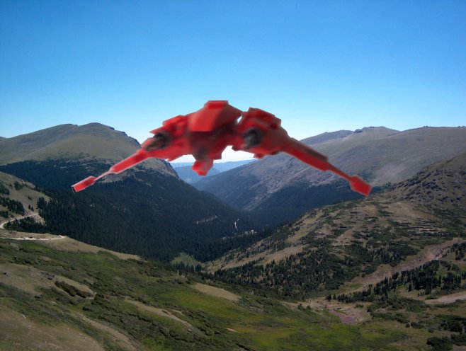 redvulture4.jpg