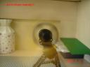 dsc02665.jpg