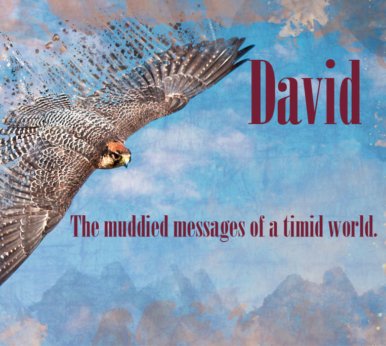 david_album.jpg