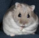 img_0095small.jpg