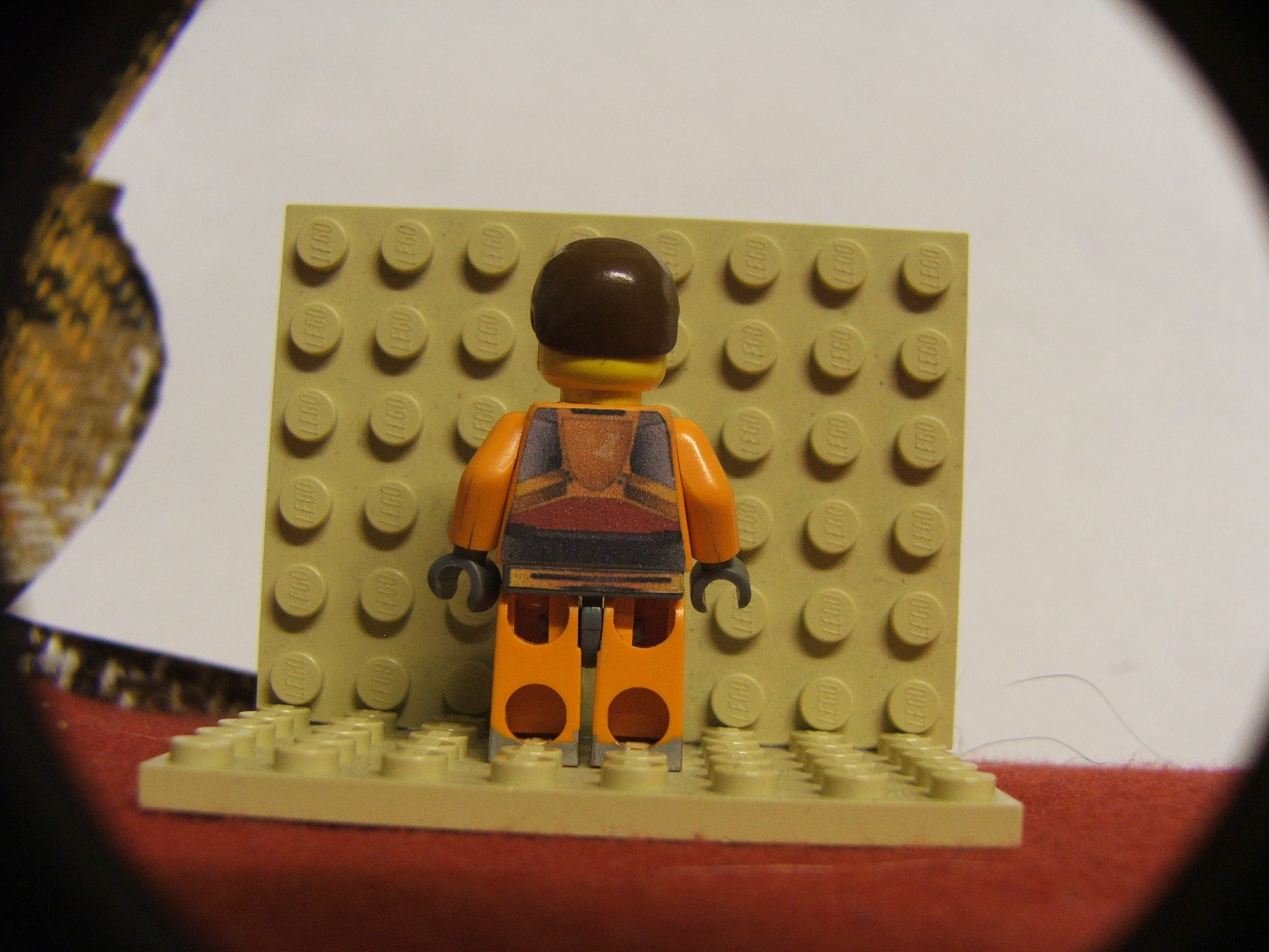 dscf2754.jpg