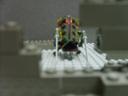 s5000015.jpg