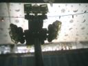 tempshot0102.jpg