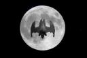 Batwingfilm