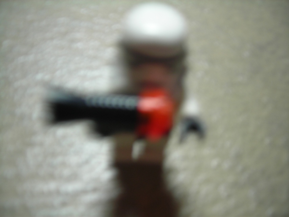 thedog_closeup.jpg