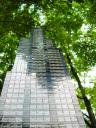 searstower4.jpg